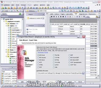 EMS SQL Management Studio 2010 for InterBase and Firebird