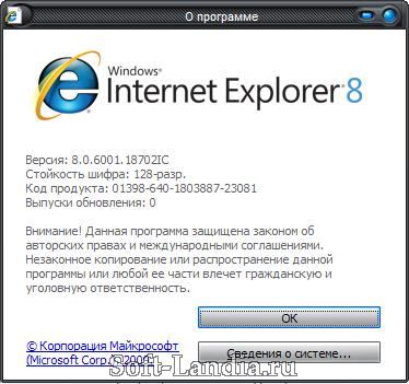 Internet Explorer 8 + Save Flash (Portable)