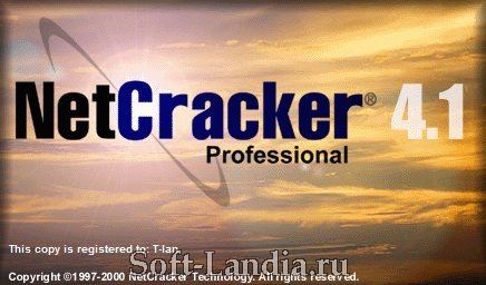 NetCracker Professional 4.1
