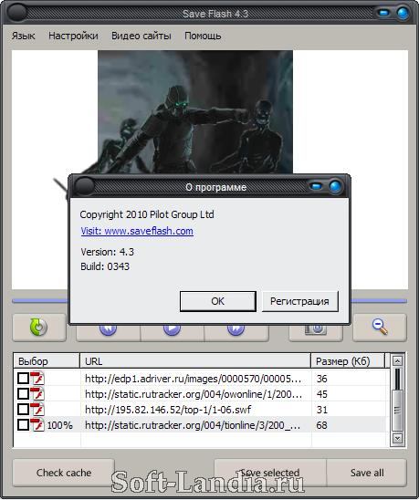 Internet Explorer 8 + Save Flash (Portable)