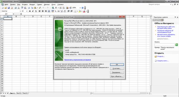 Microsoft Office 2003 Professional (Сборка 2013 г.)